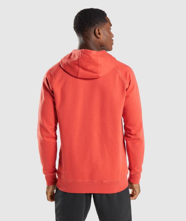 Panske Mikiny S Kapucňou Gymshark Sharkhead Infill Červené | UD8042573